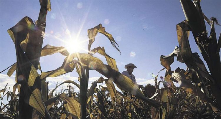 Gobierno analiza uso de biotecnología tras pedido de Anapo hace un mes