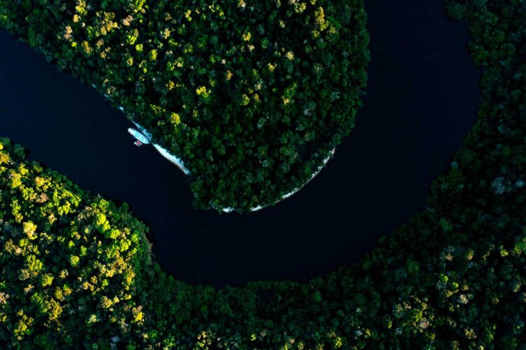 Científicos traban carrera contra el tiempo ante la devastación de la Amazonía
