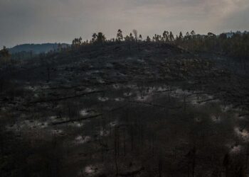 Calor sofocante e incendios atormentan al suroeste de Europa