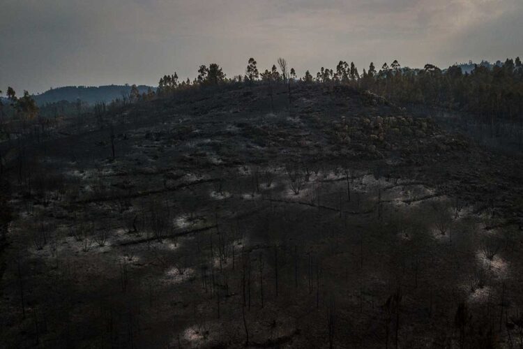 Calor sofocante e incendios atormentan al suroeste de Europa
