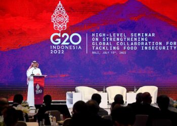 El G20 abre cita en Indonesia con repudio a  la guerra en Ucrania