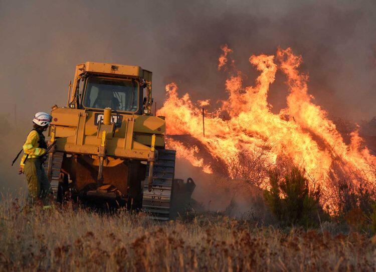 Los incendios forestales se duplicaron en todo el mundo en 20 años