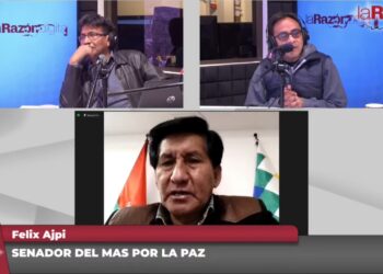 El senador del Movimiento Al Socialismo (MAS) Félix Ajpi. Foto: La Razón Radio