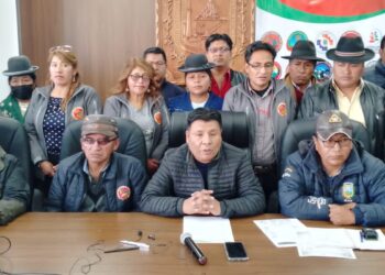 Dirigentes que conforman la Asamblea de la Alteñidad. Foto: GAMEA