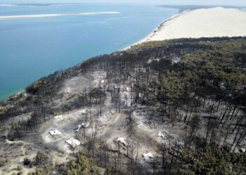 La superficie quemada por los incendios forestales en la UE superó a la de 2021