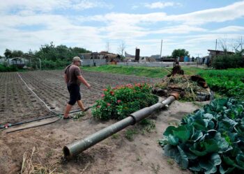 Tras cinco meses de guerra, la fatiga se apodera de los habitantes