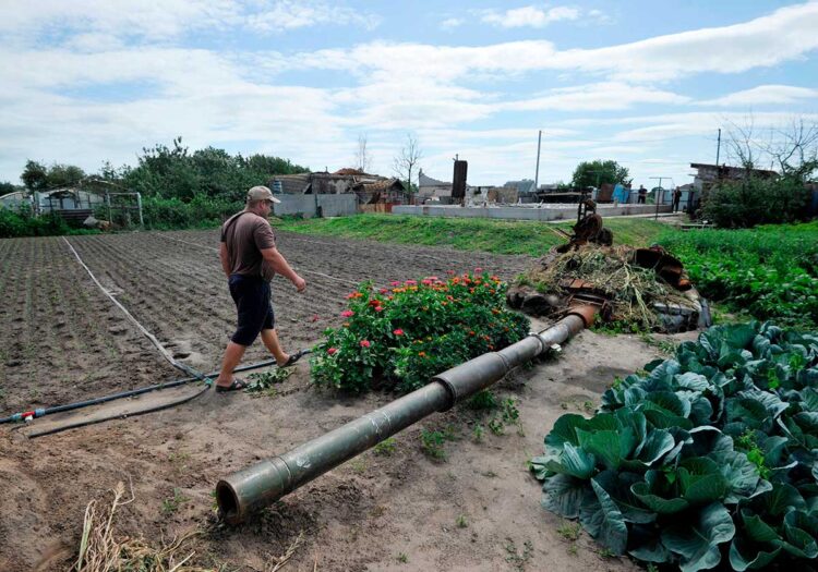 Tras cinco meses de guerra, la fatiga se apodera de los habitantes