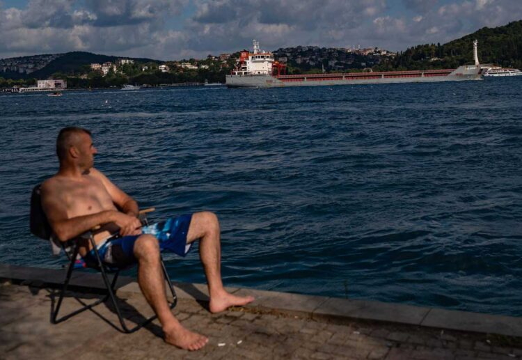 Llega a Turquía el primer barco con cereales ucranianos
