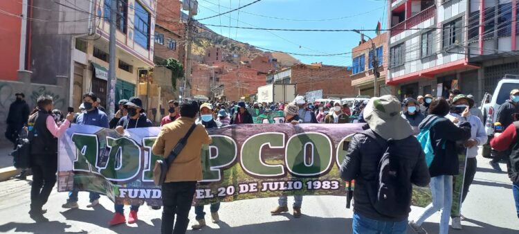 Productores cocaleros se movilizan para pedir el cierre del mercado paralelo. Foto: Adepcoca