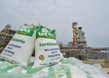 Fertilizantes orgánicos. Foto: Archivo