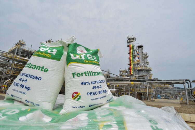 Fertilizantes orgánicos. Foto: Archivo
