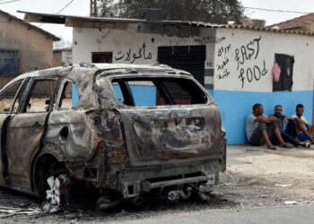 Incendios forestales dejan al menos 38 muertos en Argelia