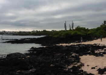 Barco hundido en Galápagos con 2.000 galones de diésel deja mancha ‘superficial’