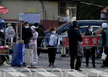 Millones de pekineses llamados a trabajar desde casa para luchar contra el COVID-19