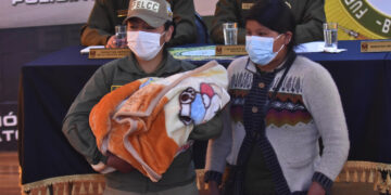 Aprehenden a una mujer que ‘confesó ser autora’ del rapto del bebé Álex