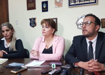 Caso Golpe de Estado II: defensa de Áñez presenta una enmienda ante el TCP