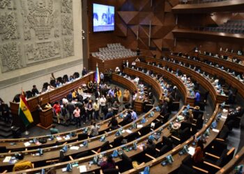 El Gobierno y el MAS defienden legalidad del cambio del orden del día para elegir al Defensor