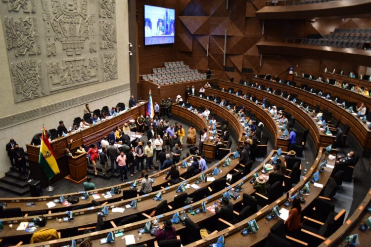 El Gobierno y el MAS defienden legalidad del cambio del orden del día para elegir al Defensor