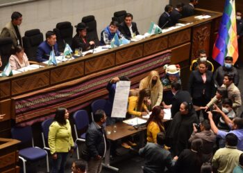 Tras elegir al Defensor, el MAS busca consensos para designar al Contralor ‘lo antes posible’