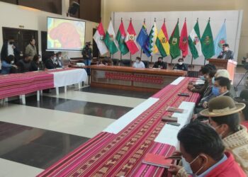 La Asamblea de la Alteñidad confirma asistencia a la reunión con el INE