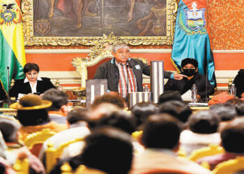 Ordenanza Municipal 046