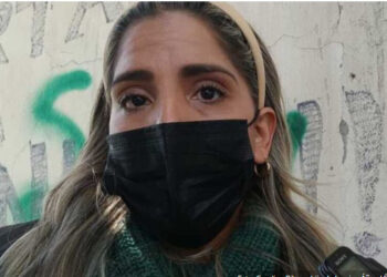 Ribera dice que la expresidenta Áñez tuvo contacto telefónico y vía zoom con Bolsonaro