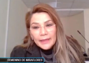 Áñez dice que entiende el ‘apuro’ por sentenciarla, pero pide ‘consideración’