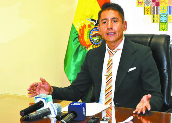 El viceministro de Altas Tecnologías energéticas, Álvaro Arnez.