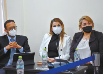 Jeanine Áñez, en la audiencia presenciales de ayer. Foto: APG