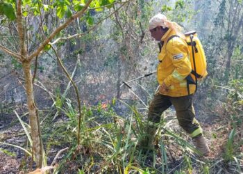Quedan tres incendios forestales de magnitud activos en Santa Cruz tras neutralizarse dos