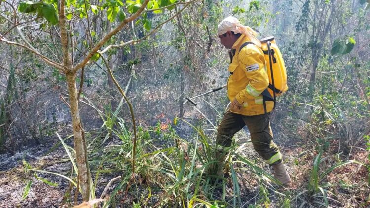 Quedan tres incendios forestales de magnitud activos en Santa Cruz tras neutralizarse dos