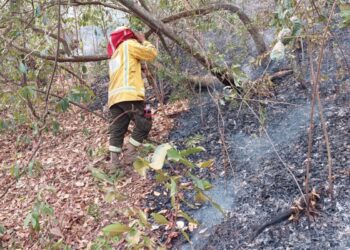 Ocho municipios cruceños, incluyendo tres áreas protegidas en alerta roja por incendios forestales