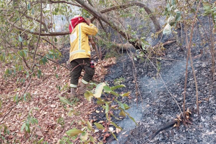 Ocho municipios cruceños, incluyendo tres áreas protegidas en alerta roja por incendios forestales