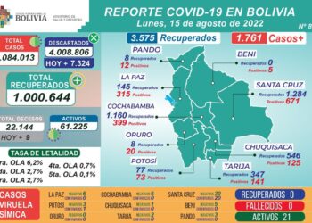 Reporte de los casos de COVID-19