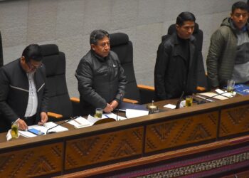 Choquehuanca llama a sesión de Asamblea para resolver dos vocalías vacantes en el TSE
