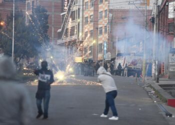 El Gobierno insistirá en el diálogo entre cocaleros de Adepcoca y precautelará el orden público