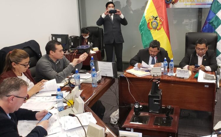 Cuarto intermedio en debate de ley del Censo, proyectistas fundamentarán fecha en 2023