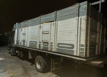 Uno de los camiones de contrabando incautados en el sur del país. Foto: CEO