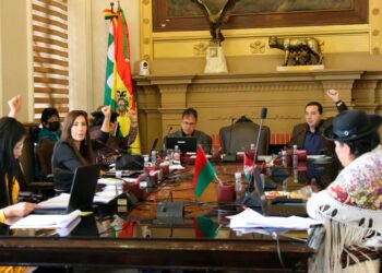 La mayoría del MAS en el Concejo Municipal, el viernes. Foto: Concejo La Paz