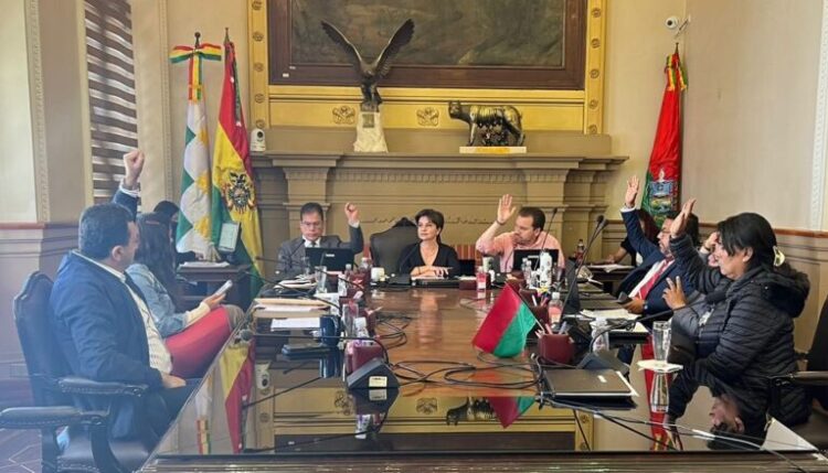 El Concejo Municipal de La Paz en la plenaria deberá tratar la ordenanza de construcciones irrestrictas. Foto: Concejo