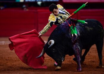 Corridas de toros: Ciudad de México cerca de abolir una tradición de 500 años