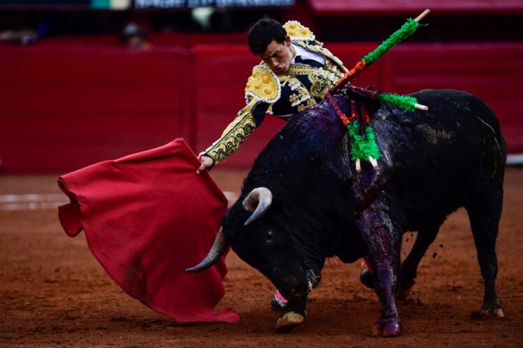 Corridas de toros: Ciudad de México cerca de abolir una tradición de 500 años