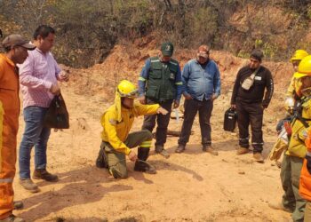 Gobierno y gobernación unen esfuerzos para combatir los incendios forestales en Santa Cruz