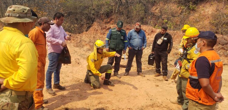 Gobierno y gobernación unen esfuerzos para combatir los incendios forestales en Santa Cruz