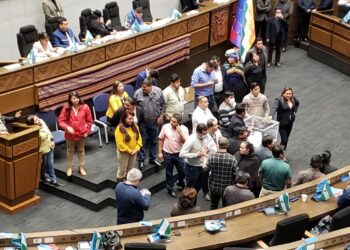 El breve bochorno en la elección del Defensor del Pueblo. Foto: Rodwy Cazón