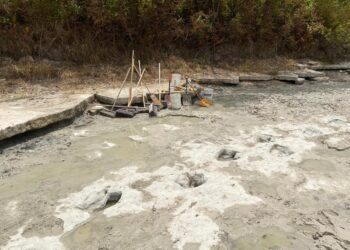 Las huellas de dinosaurio expuestas luego de una sequía en un río de Texas. Foto: AFP