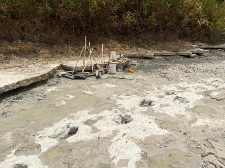 Las huellas de dinosaurio expuestas luego de una sequía en un río de Texas. Foto: AFP