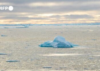 La banquisa antártica se redujo en niveles récord en julio