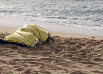 Autoridades turcas hallan a 12 migrantes muertos por el frío en frontera con Grecia
