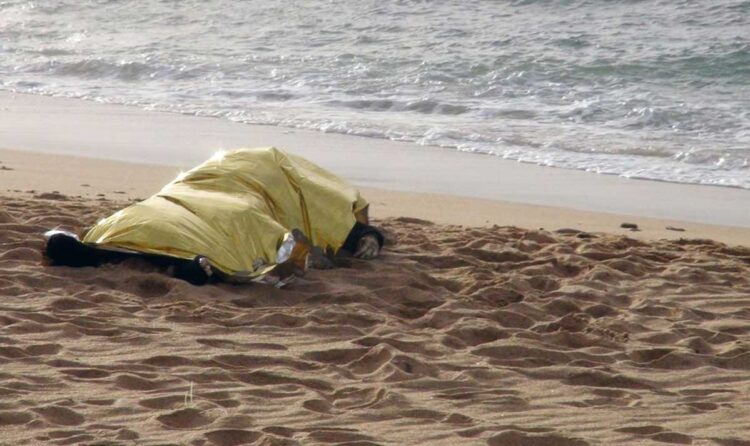 Autoridades turcas hallan a 12 migrantes muertos por el frío en frontera con Grecia